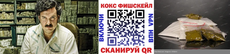 блэк спрут ТОР  купить наркотики сайты  Райчихинск  COCAIN Fish Scale 