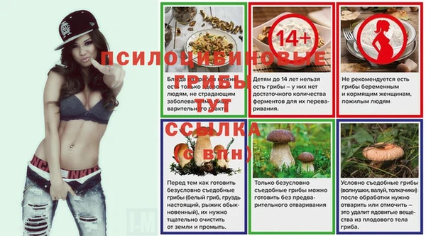 мет Инсар