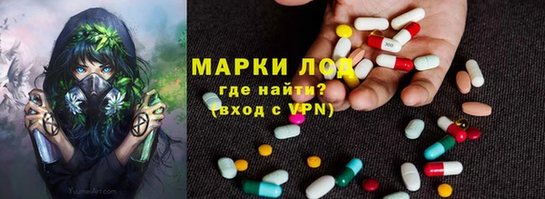 эйфоретик Алзамай